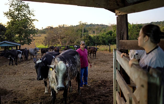 Terra Nova do Norte_MT, 30 de junho de 2025 OCB - COOPERATIVAS DO BRASIL: RETRATOS DE UM MUNDO MELHOR  Imagem da propriedade rural de Claudemir Magalh es, produtor de leite associado da cooperativa COOPERNOVA.  Imagem: Ueslei Marcelino / NITRO