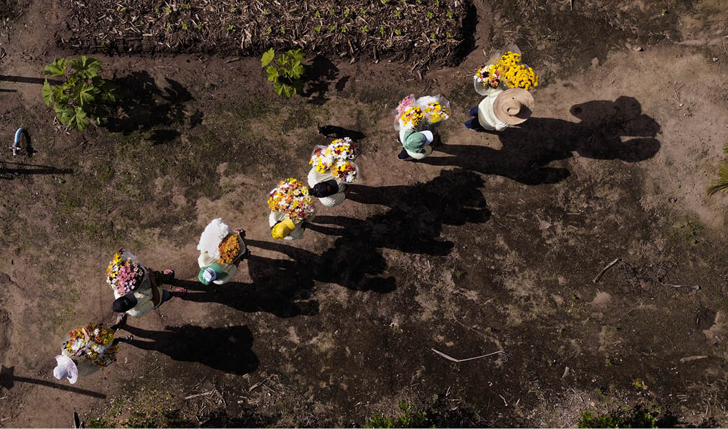 20250603, Pil es - PB - Cooperativa dos Floricultores do Estado da Para ba. Na foto :                 - 12 mulheres que trabalham juntas na COFEP e cultivam flores naturais.