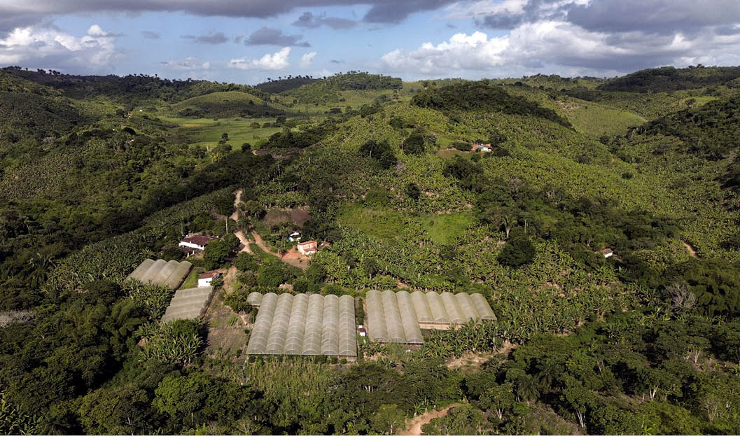 20250603, Pil es - PB - Cooperativa dos Floricultores do Estado da Para ba. Na foto :                 - 12 mulheres que trabalham juntas na COFEP e cultivam flores naturais.