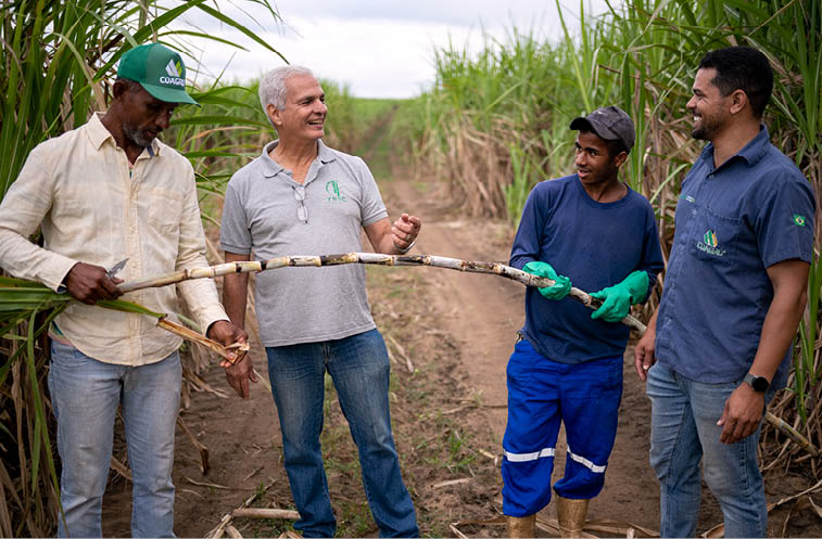 CAMPOS DOS GOYTACAZES_RJ 02 de Junho de 2025 OCB / COAGRO Na imagem, Joelson da Silva, Carlos Frederico de Mendes, agricultor parceiro da Coagro, Jose Melky da Silva, seu funcionario, e Claudio Martins de Almeida (esq. para dir). Imagem: Alexandre Rezende / NITRO Historias Visuais