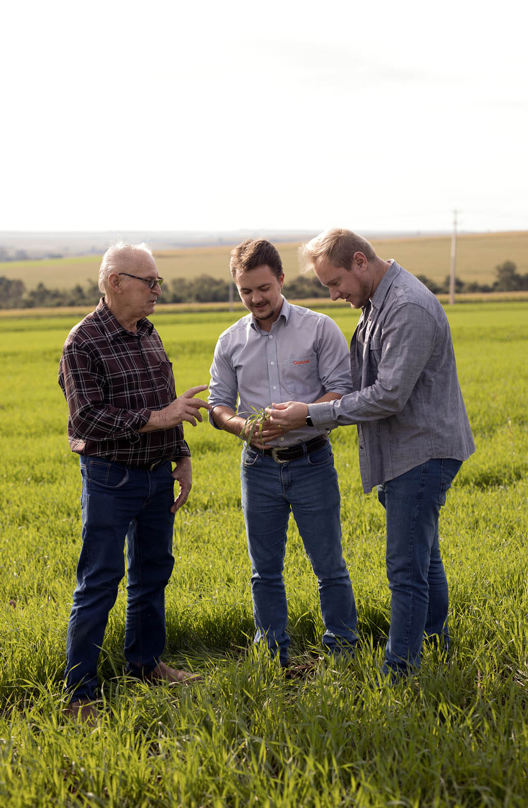 Fotos pra OCB, em Cafelandia, PR, Brasil. 04/06/2025. Andrei Buss (camisa cinza) e Salvino Buss (av ) cooperados peixes milho e frango. E Dilmar Brustolin - camisa fechada - (cooperativa)