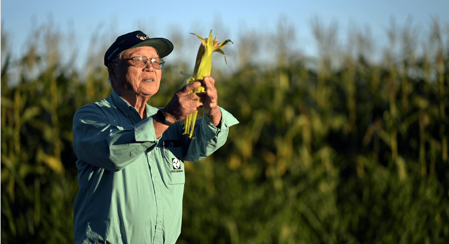 Navirai_MS, 11 de junho de 2025 OCB - COOPERATIVAS DO BRASIL: RETRATOS DE UM MUNDO MELHOR  Na imagem, Sukesada Takehara um dos fundadores da cooperativa COPASUL.  Imagem: Douglas Magno / NITRO