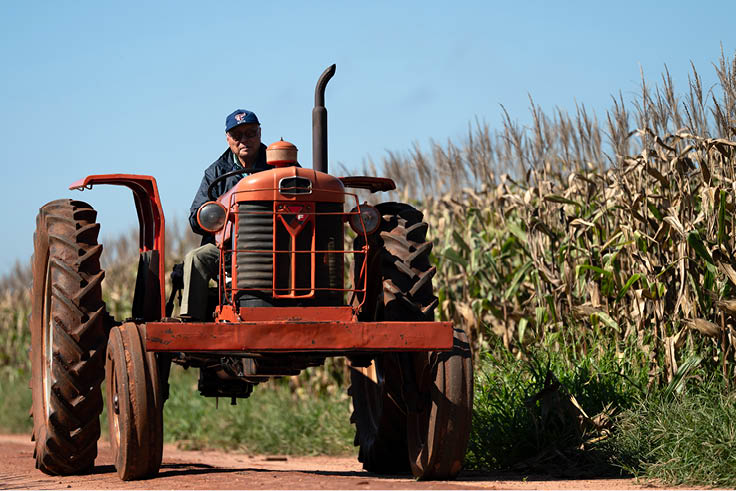Navirai_MS, 11 de junho de 2025 OCB - COOPERATIVAS DO BRASIL: RETRATOS DE UM MUNDO MELHOR  Na imagem, Sukesada Takehara um dos fundadores da cooperativa COPASUL com seu trator de 1965.  Imagem: Douglas Magno / NITRO