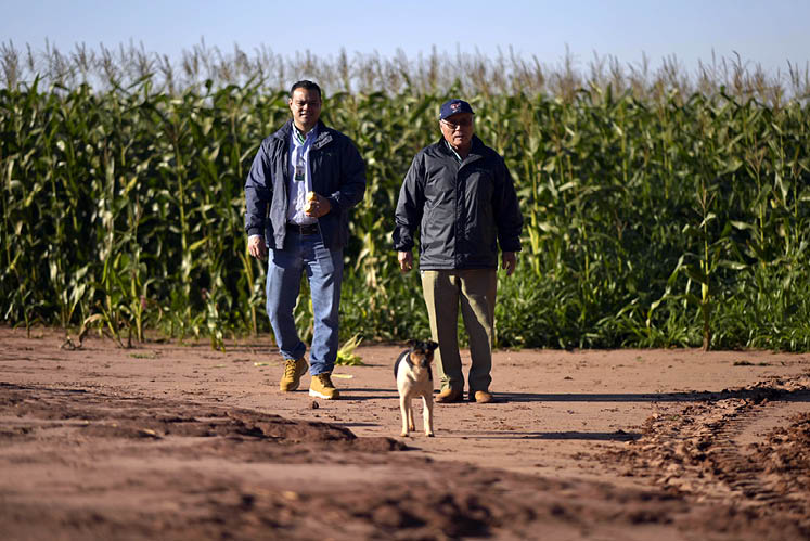 Navirai_MS, 11 de junho de 2025 OCB - COOPERATIVAS DO BRASIL: RETRATOS DE UM MUNDO MELHOR  Na imagem, Sukesada Takehara (d) um dos fundadores da cooperativa COPASUL e Moacyr Toshimitsu (e) Supervisor Comercial de Insumos da COPASUL.  Imagem: Douglas Magno / NITRO