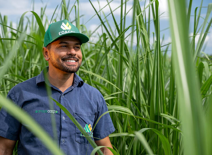 CAMPOS DOS GOYTACAZES_RJ 02 de Junho de 2025 OCB / COAGRO Na imagem, Claudio Martins de Almeida, funcionario da COAGRO.  Imagem: Alexandre Rezende / NITRO Historias Visuais