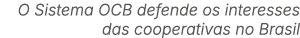 O Sistema OCB defende os interesses das cooperativas no Brasil