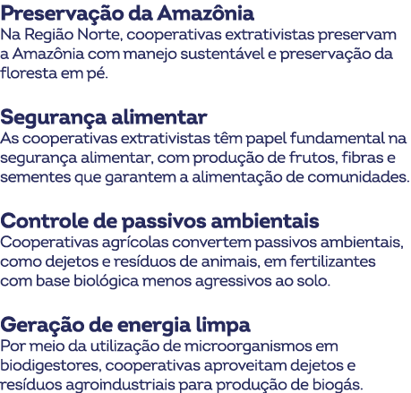Preserva o da Amaz nia Na Regi o Norte, cooperativas extrativistas preservam a Amaz nia com manejo sustent vel e pre...