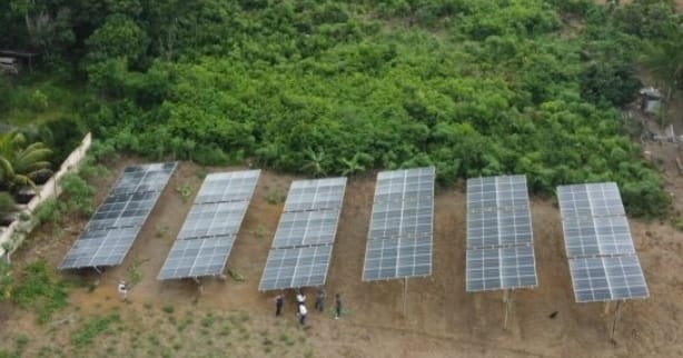CCampo reduz custos e aumenta produção sustentável com sistema agrifotovoltaico
