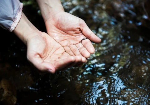 Coopatos aumenta produção de leite com Projeto Silagem