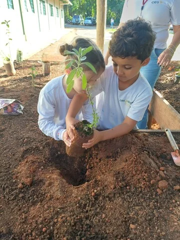 Educar para cooperar: 5º princípio mantém viva a cultura coop 