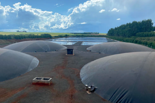 Lar transforma dejetos de suínos em energia limpa e reduz emissão de metano