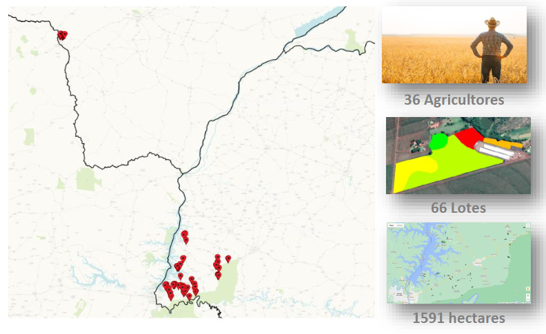 Lar Cooperativa otimiza uso de insumos com sistema de manejo e agricultura de precisão