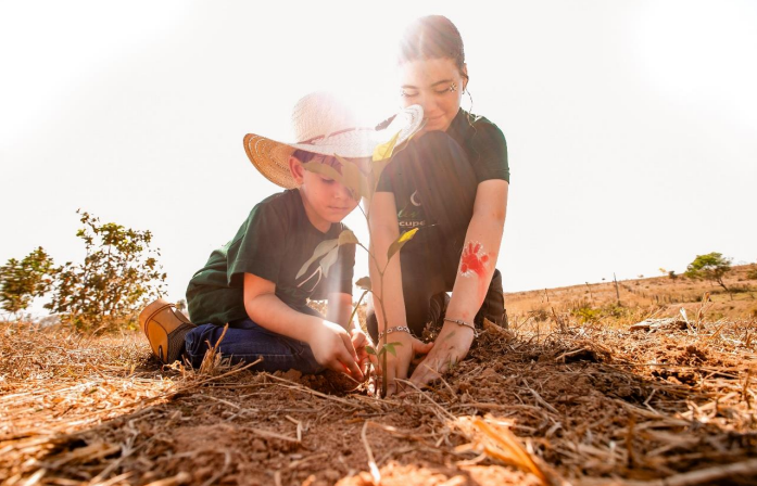 Sicredi Integração MT/AP/PA lidera projeto que já plantou mais de 145 mil árvores em 12 anos