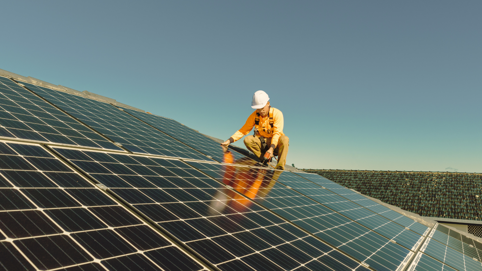 Com parcerias globais, Sicredi viabiliza R$ 9,6 bilhões para projetos de impacto socioambiental