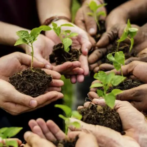 Licenciamento Ambiental