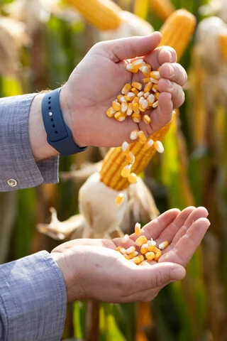 Cooperativismo busca ampliar seu papel na segurança alimentar