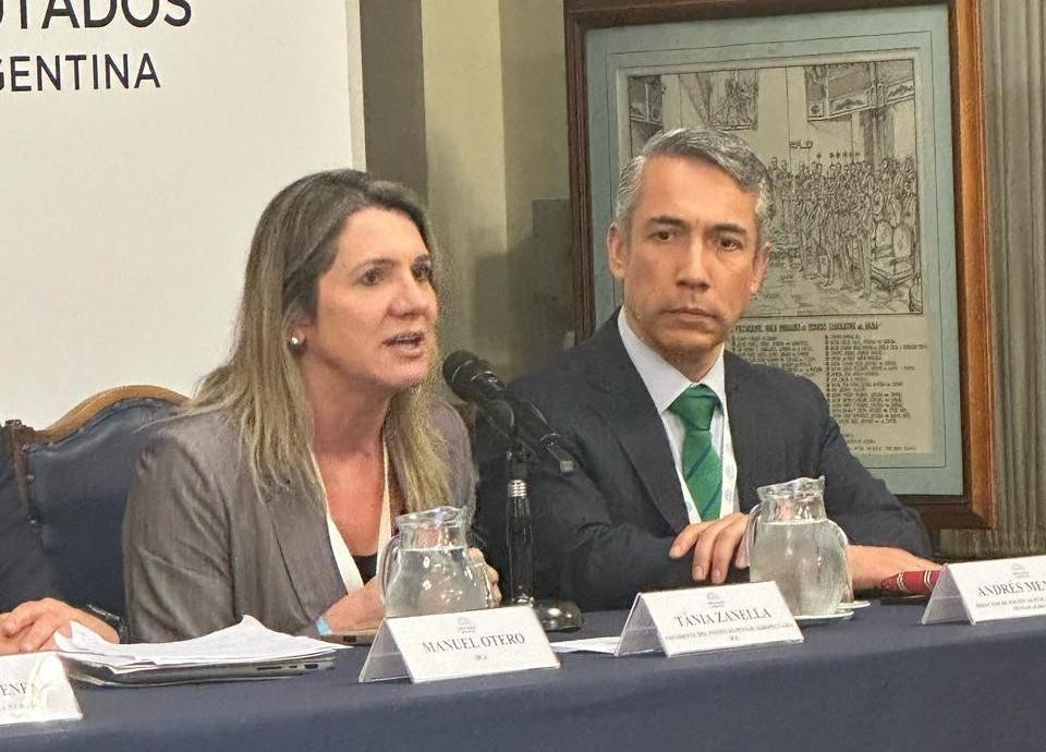 Tania Zanella durante painel do Agro Global