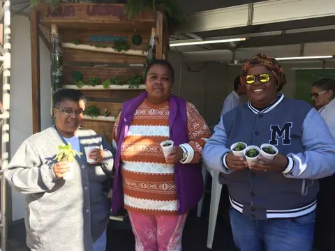 RS | Projeto Horta Urbana orienta para o cultivo caseiro