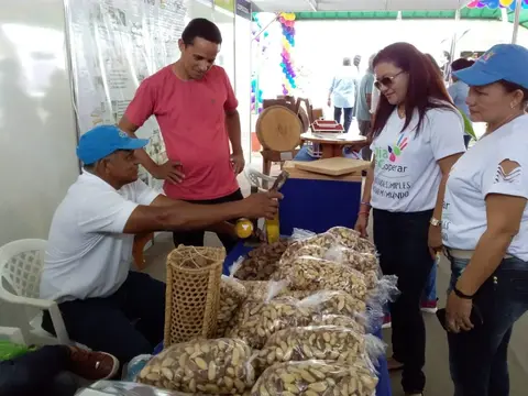 Cooperativas do Amapá apresentam mercado de trabalho a jovens
