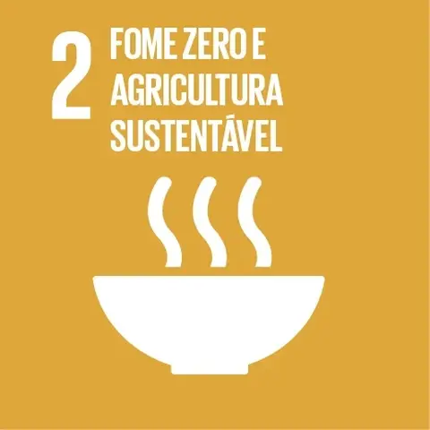 O Dia C e os Objetivos de Desenvolvimento Sustentável (ODS)