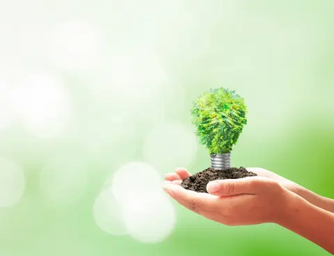 Cooperativas paraenses comemoram o Dia Mundial da Energia