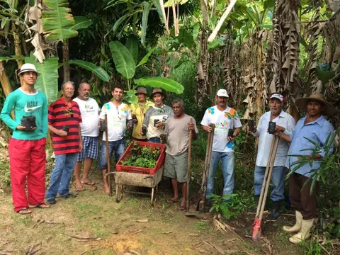 COOPAAL realiza projeto de reflorestamento de nascentes na Zona da Mata (AL)