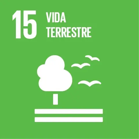 O DIA C E OS OBJETIVOS DE DESENVOLVIMENTO SUSTENTÁVEL (ODS)