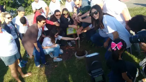 SC | Plantio de árvores e dança circular encerram Dia C, em Florianópolis
