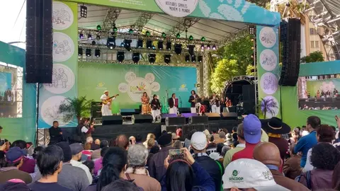 RS | Pedro Ortaça sobe ao palco do Dia C