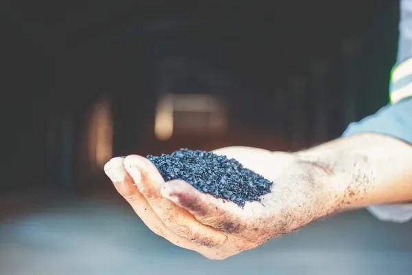 Cooperativas protagonizam ação climática e contribuem para o ODS 13