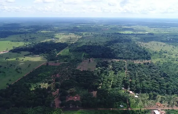 Mercado de carbono: como as cooperativas fazem parte dessa estratégia climática? 